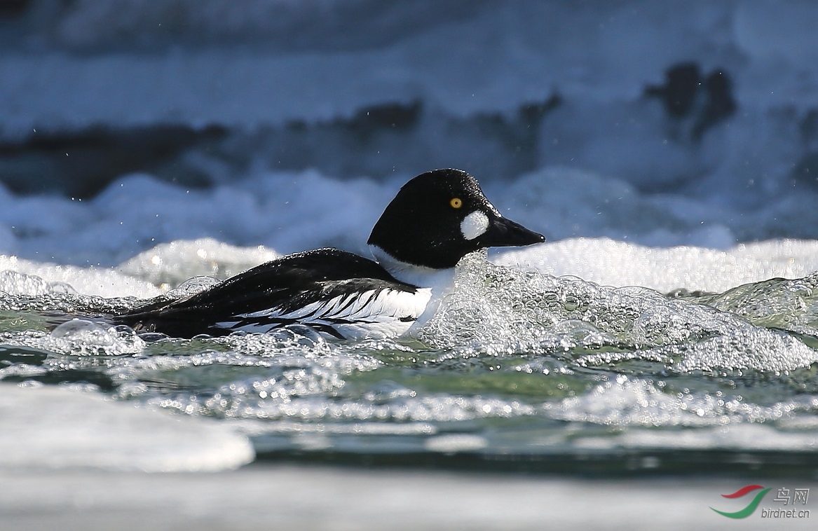 �ٺ��䣬ҲҪ��ǿ�ػ���ȥ