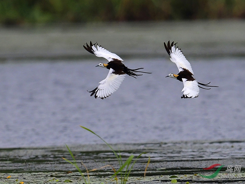 _DSC1613 - ����.JPG