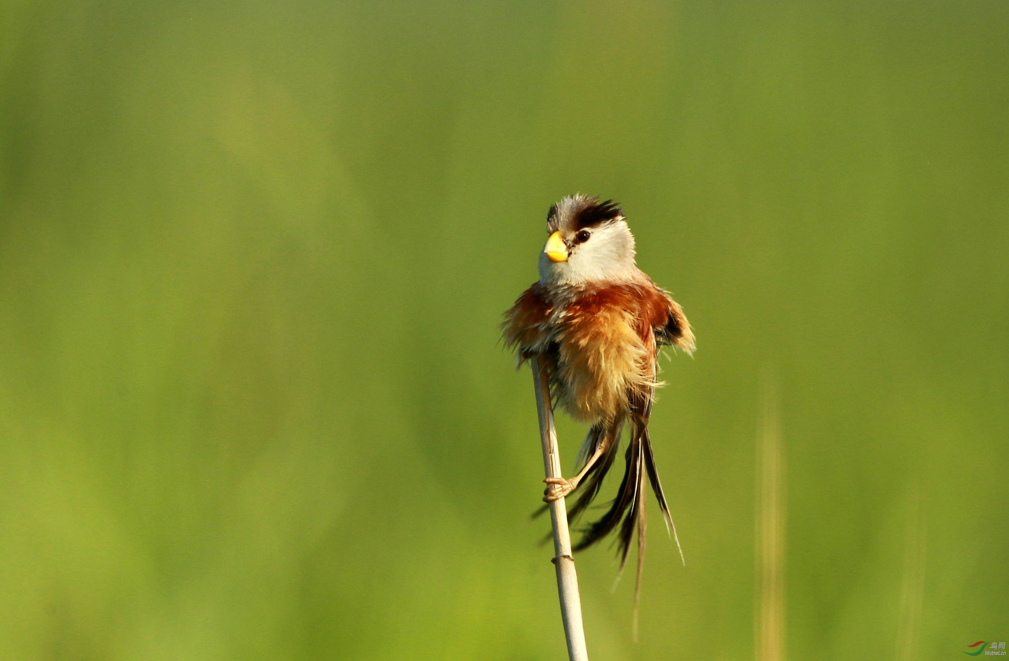 H46R3270_���� - ���� - ����.jpg