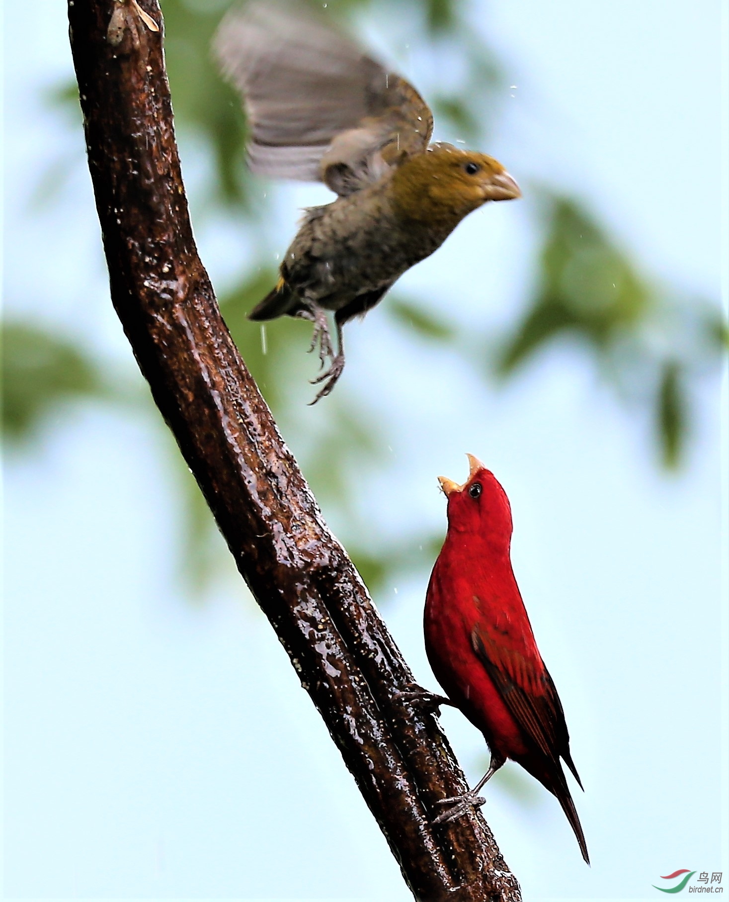 请不要离开我。