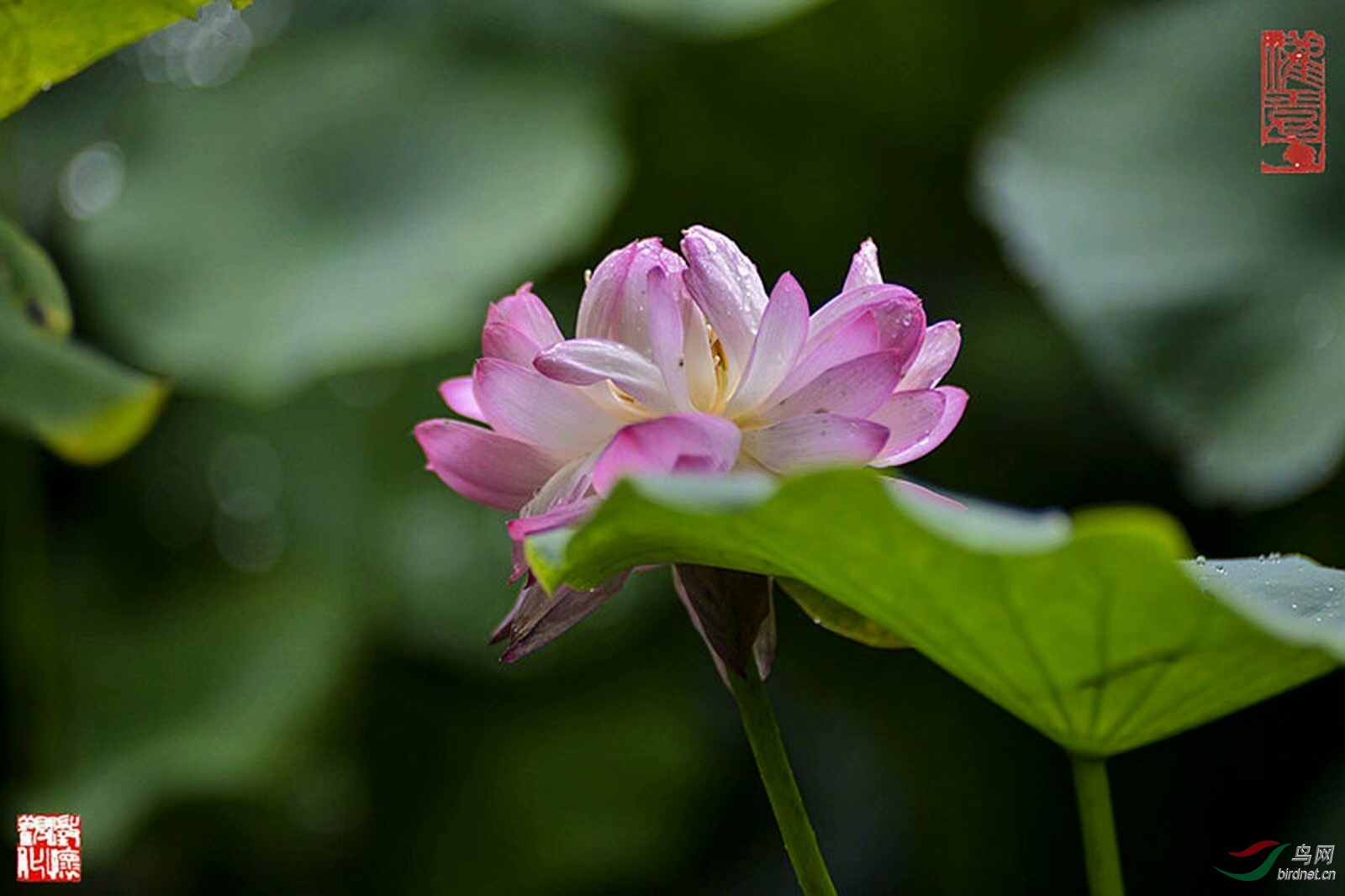 82409AE6-98DD-4057-ACF2-FEBC44C89164.jpeg