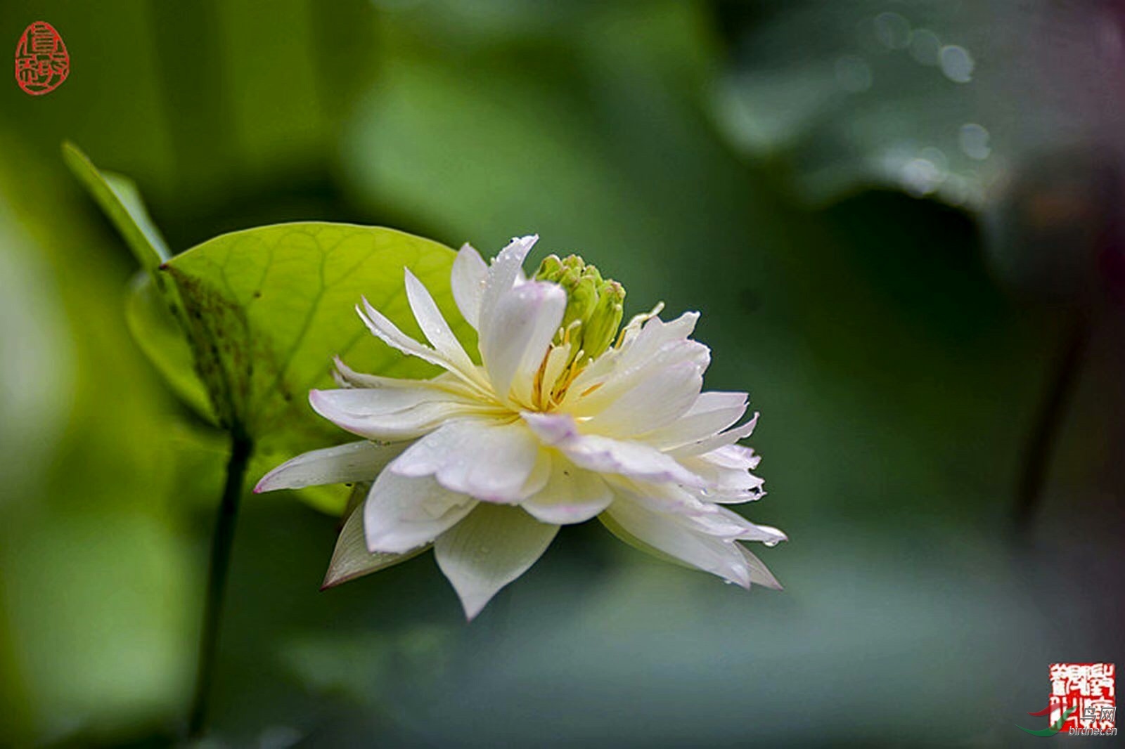 CC5D979B-F649-43EA-BDF6-7E126523F78B.jpeg