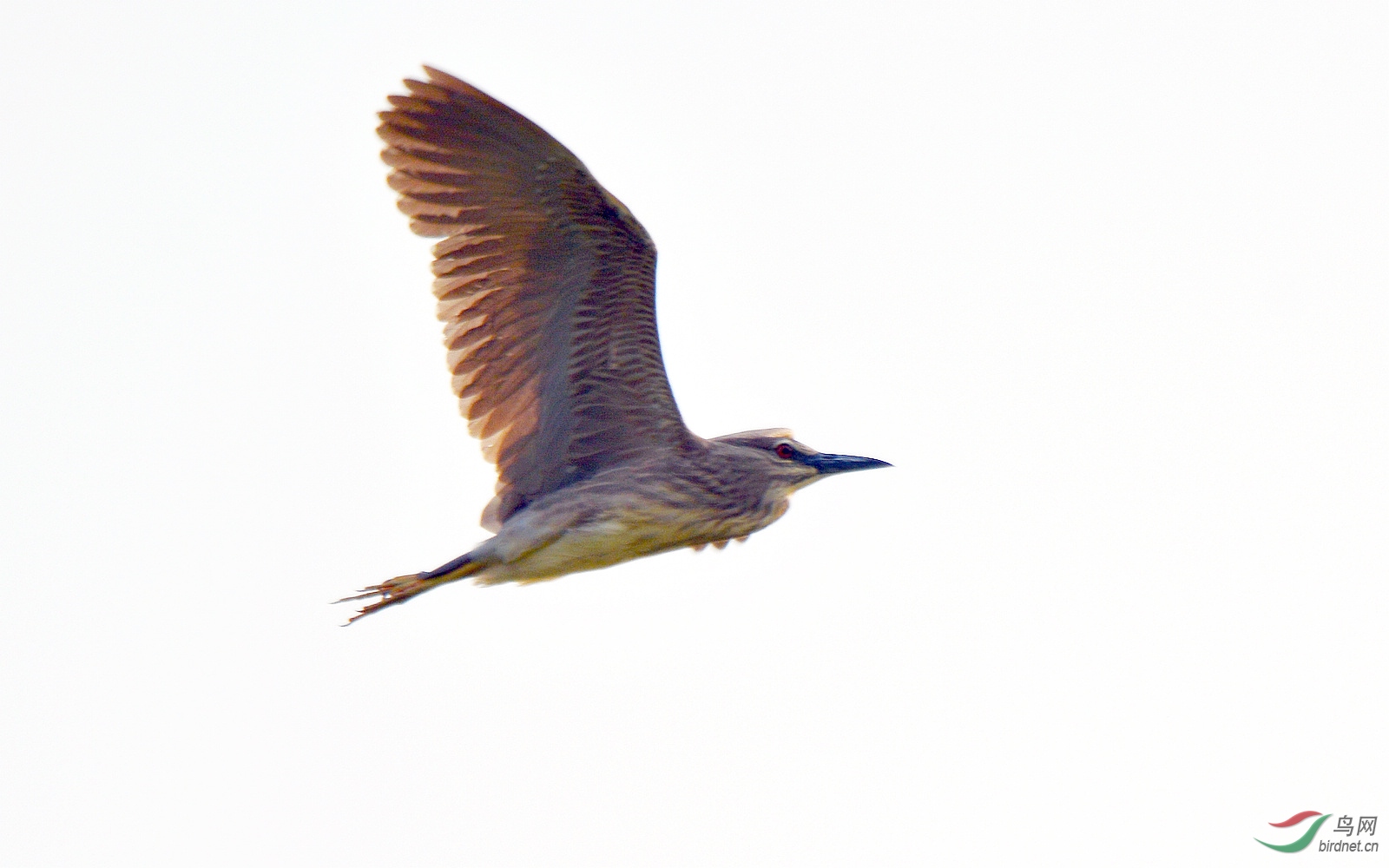 DSC_9846.JPG