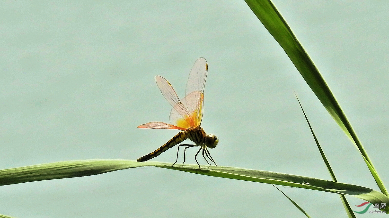 DSCN2788.JPG