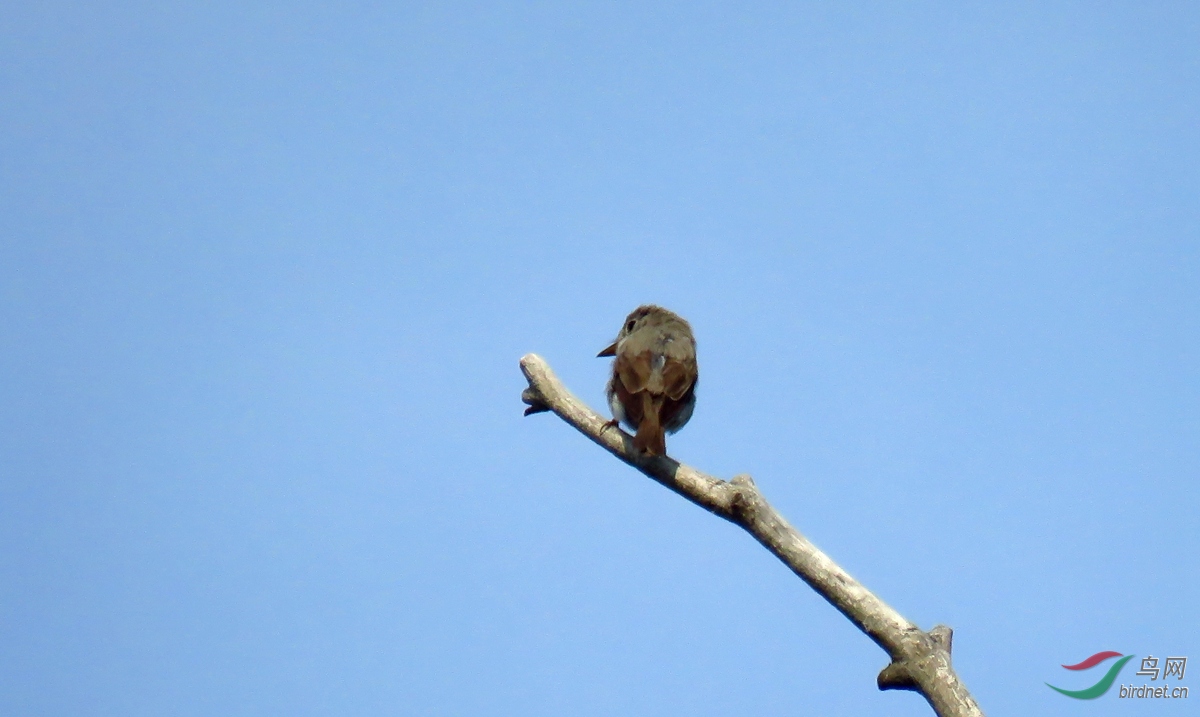 IMG_2505.JPG