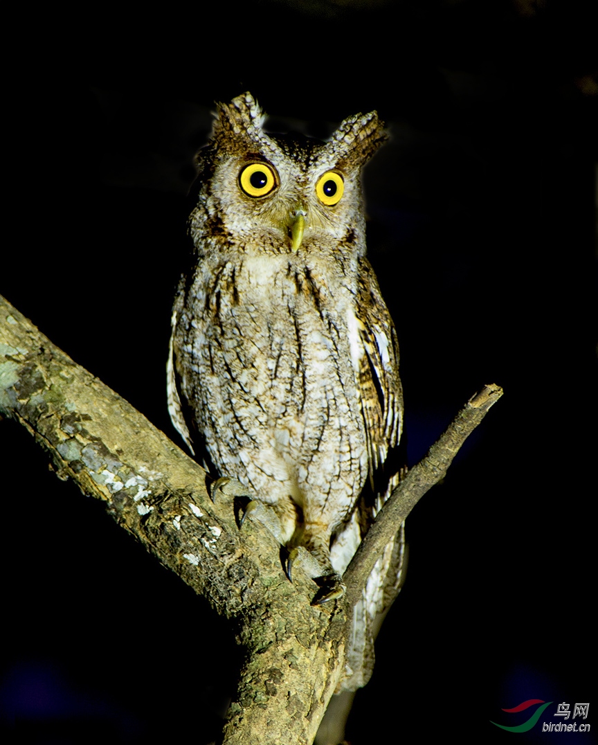 DSC_6299.jpg