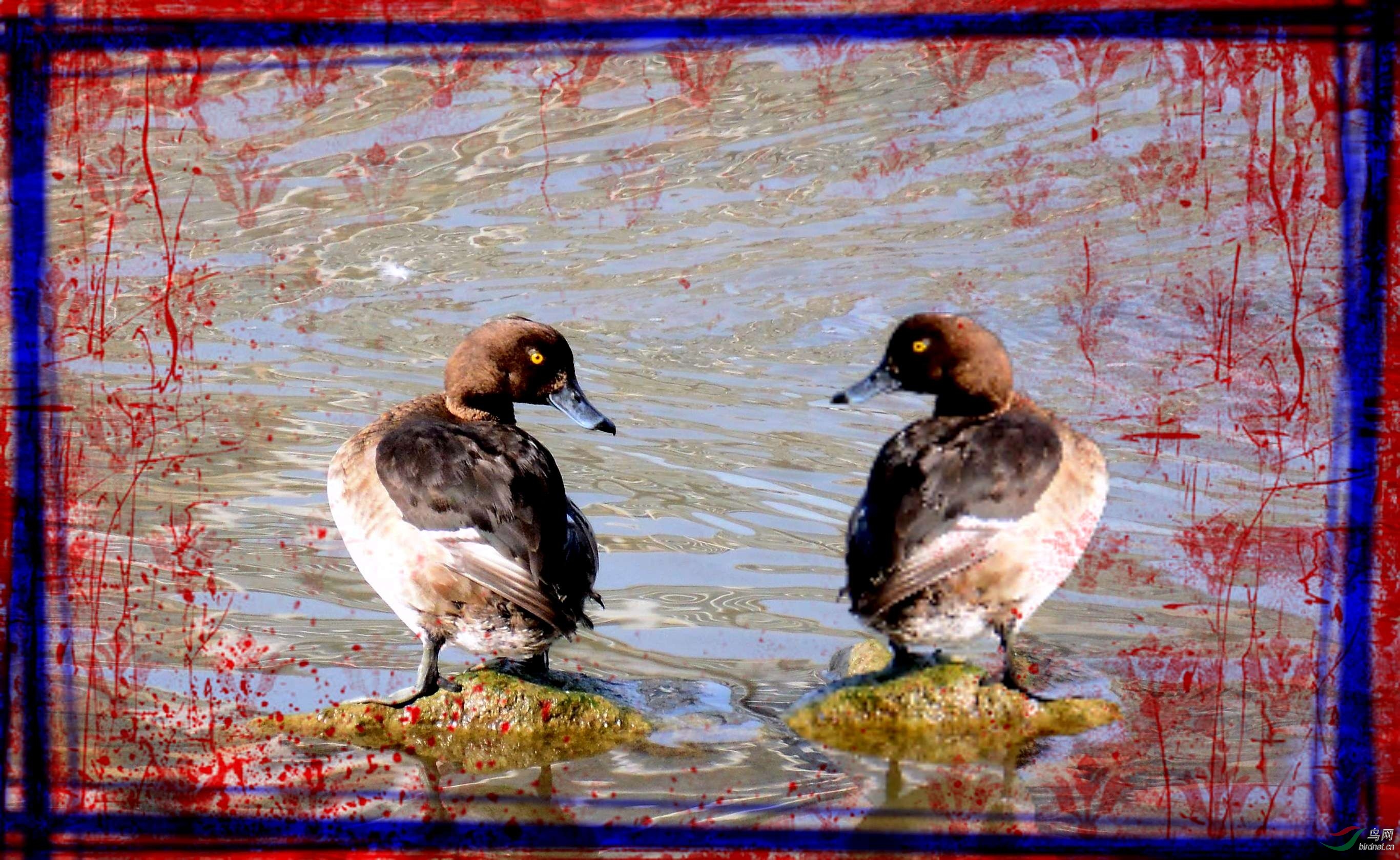 DSC_0477_conew8.jpg