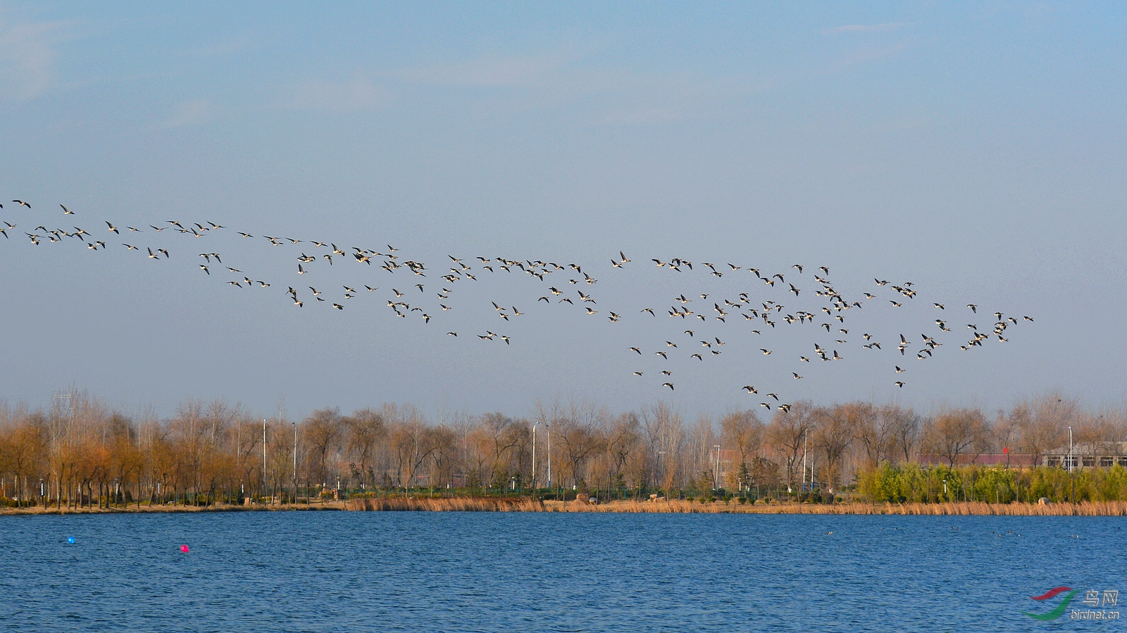 DSC_9559.JPG