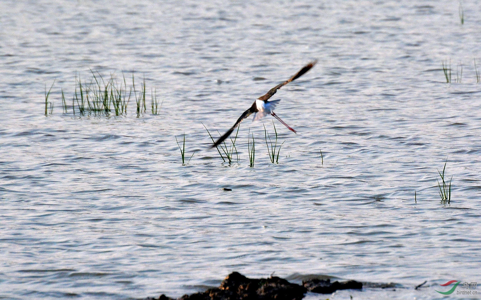 DSC_1403.JPG