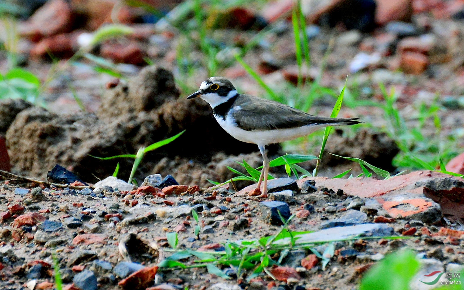 DSC_3592.JPG