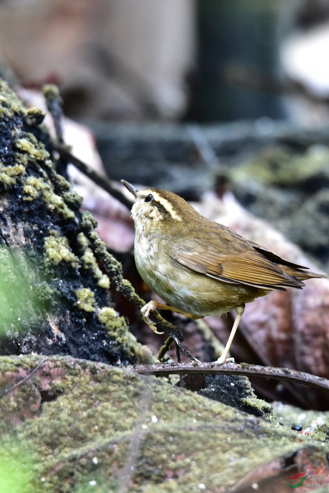 DSC_0324.JPG