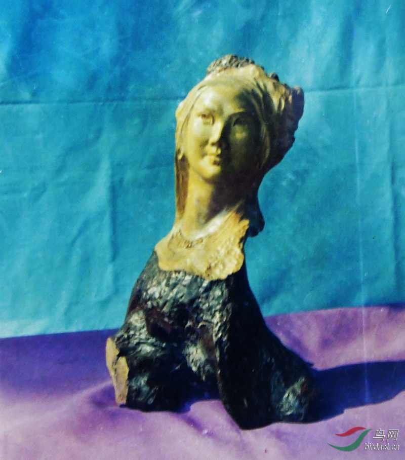 DSC_8146.JPG