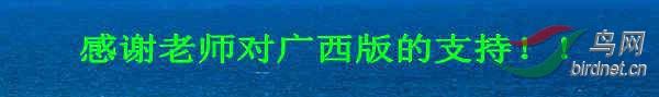 IMG_2769_conew1.jpg