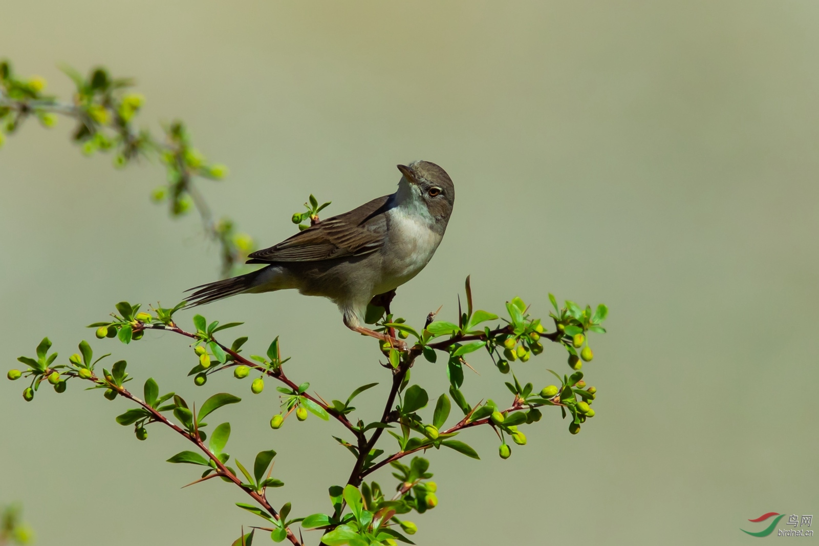 20190530--205.jpg