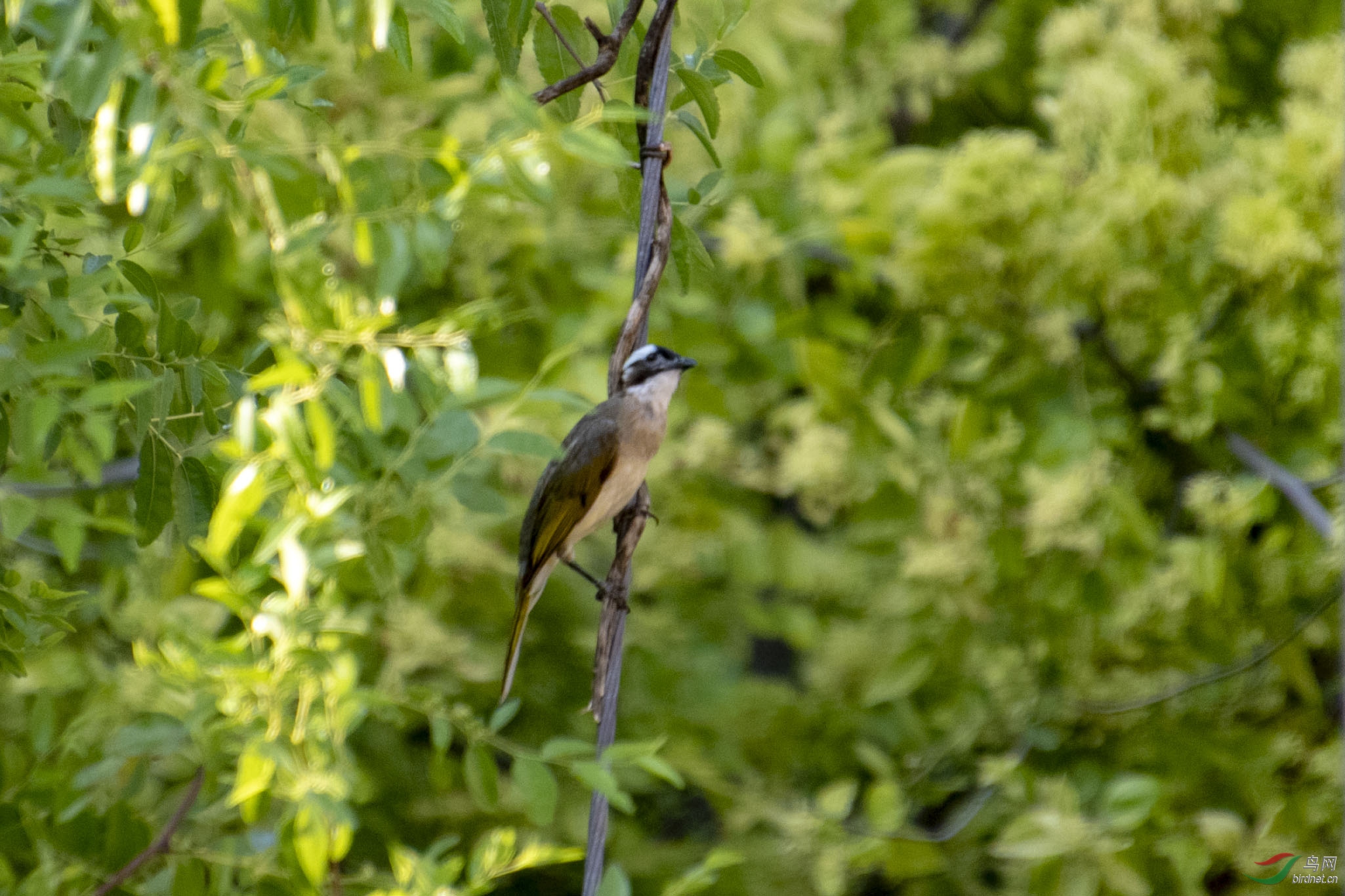 D50_0098.jpg