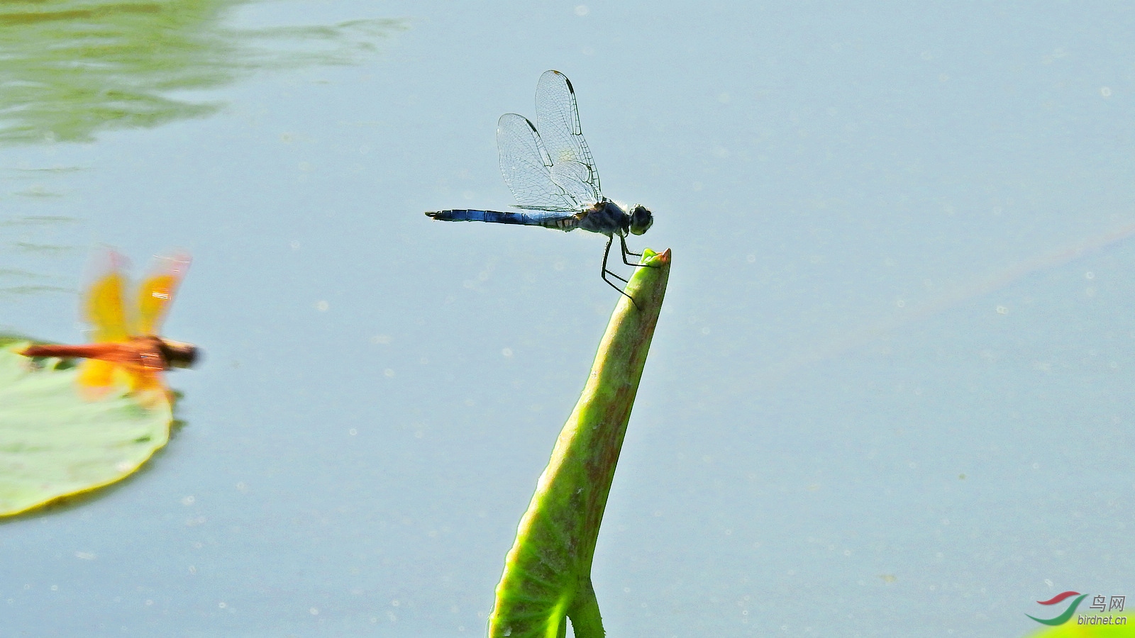 DSCN9265.JPG