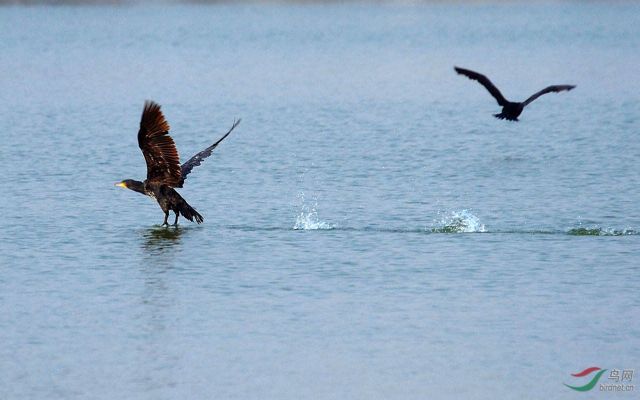 DSC_7789.JPG
