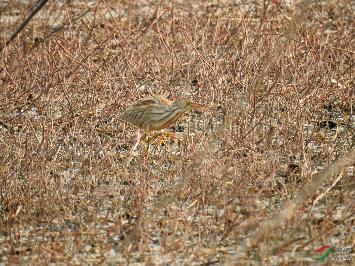 DSCN4295.JPG