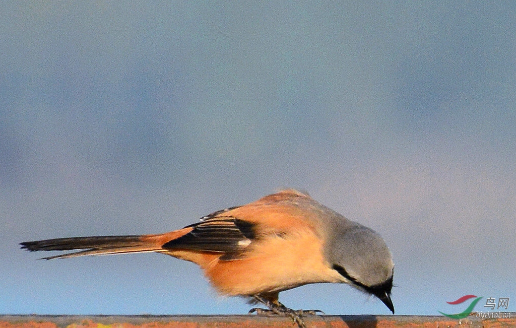 DSC_3903.JPG