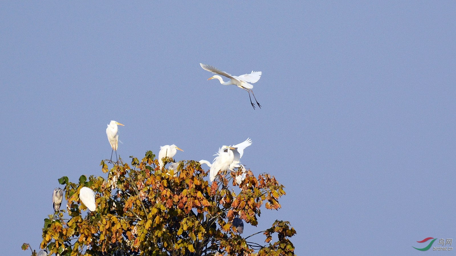 DSC_4328.JPG