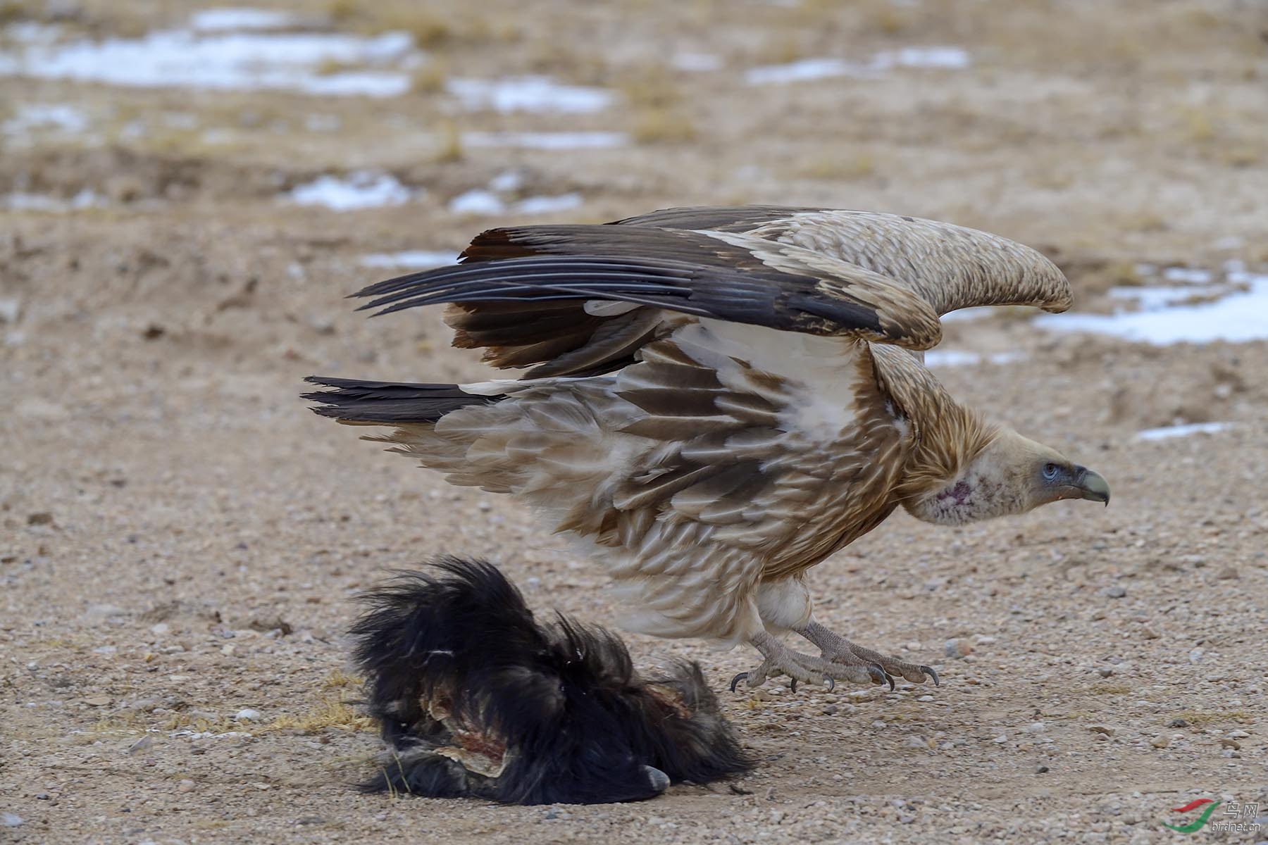 ABC_0277 ����.jpg