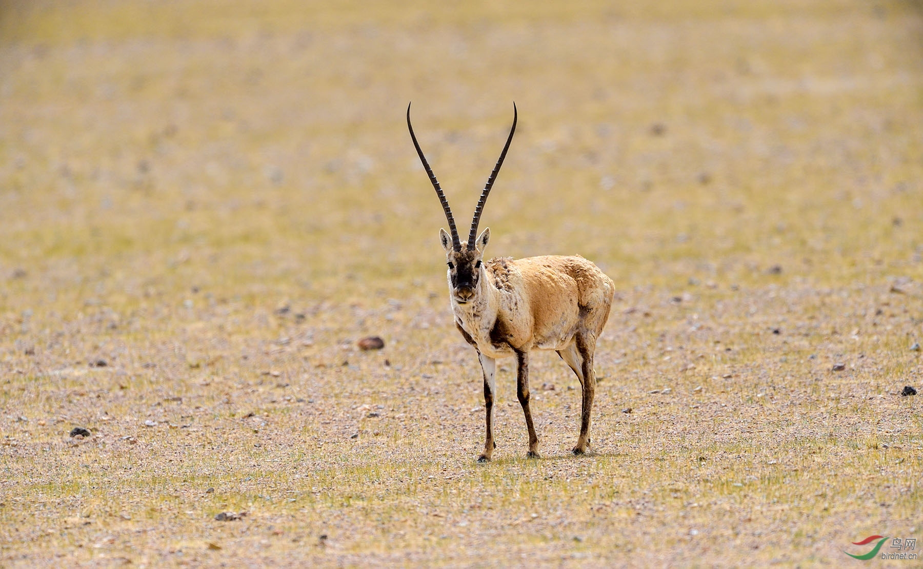 DSC_1110 ����.jpg