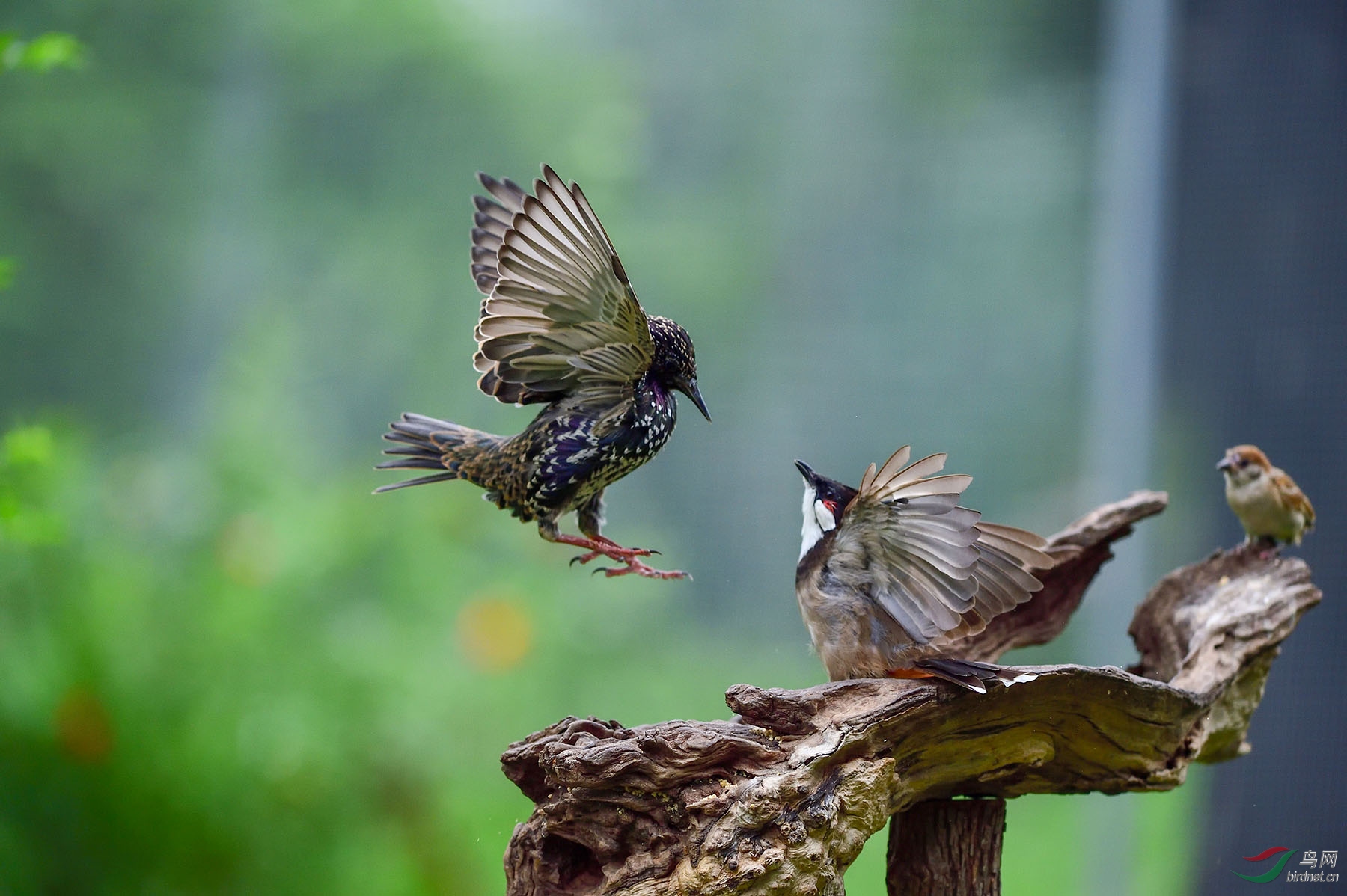 DSC_8779 ����.jpg