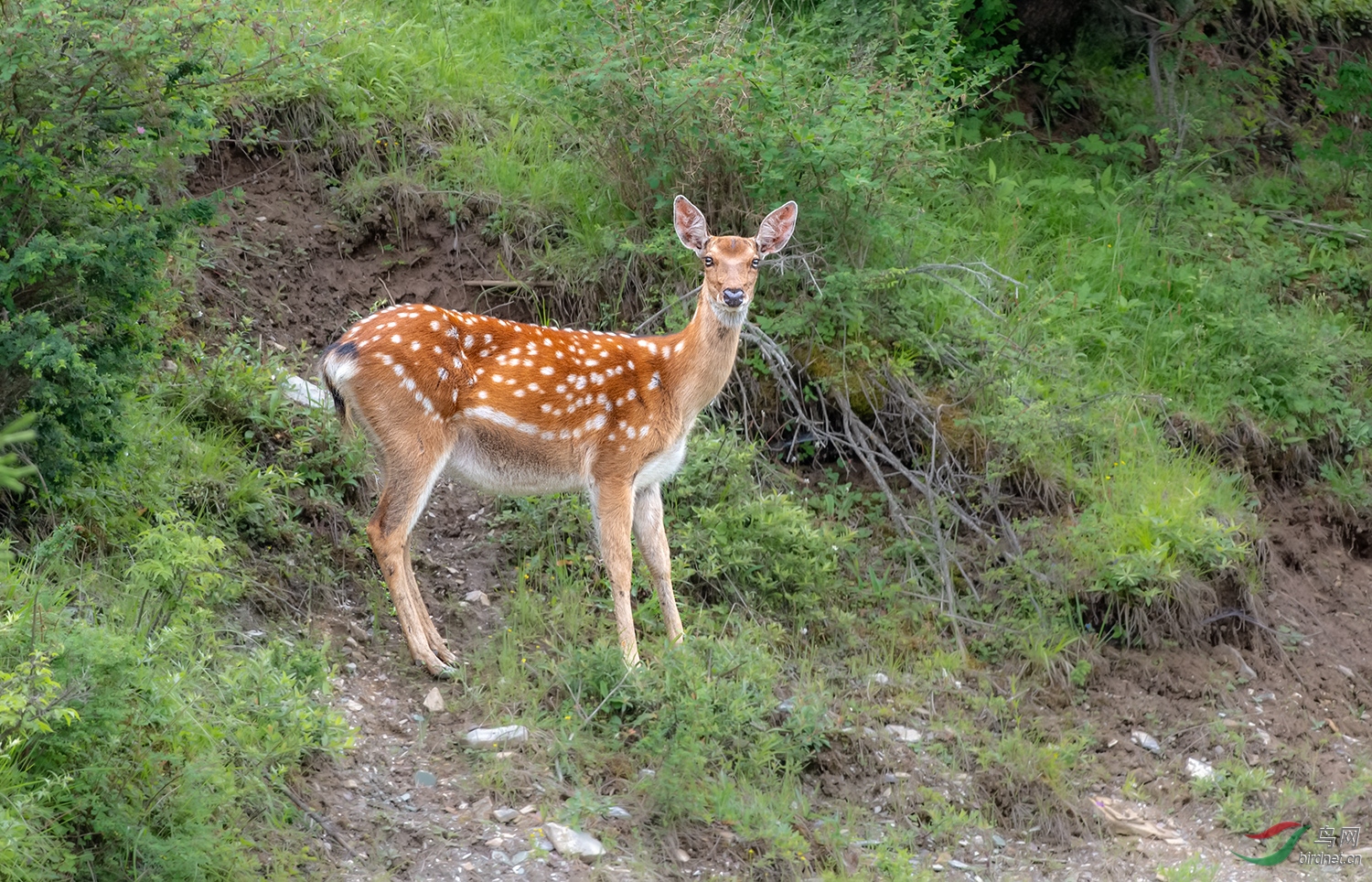 DSC_83221.jpg