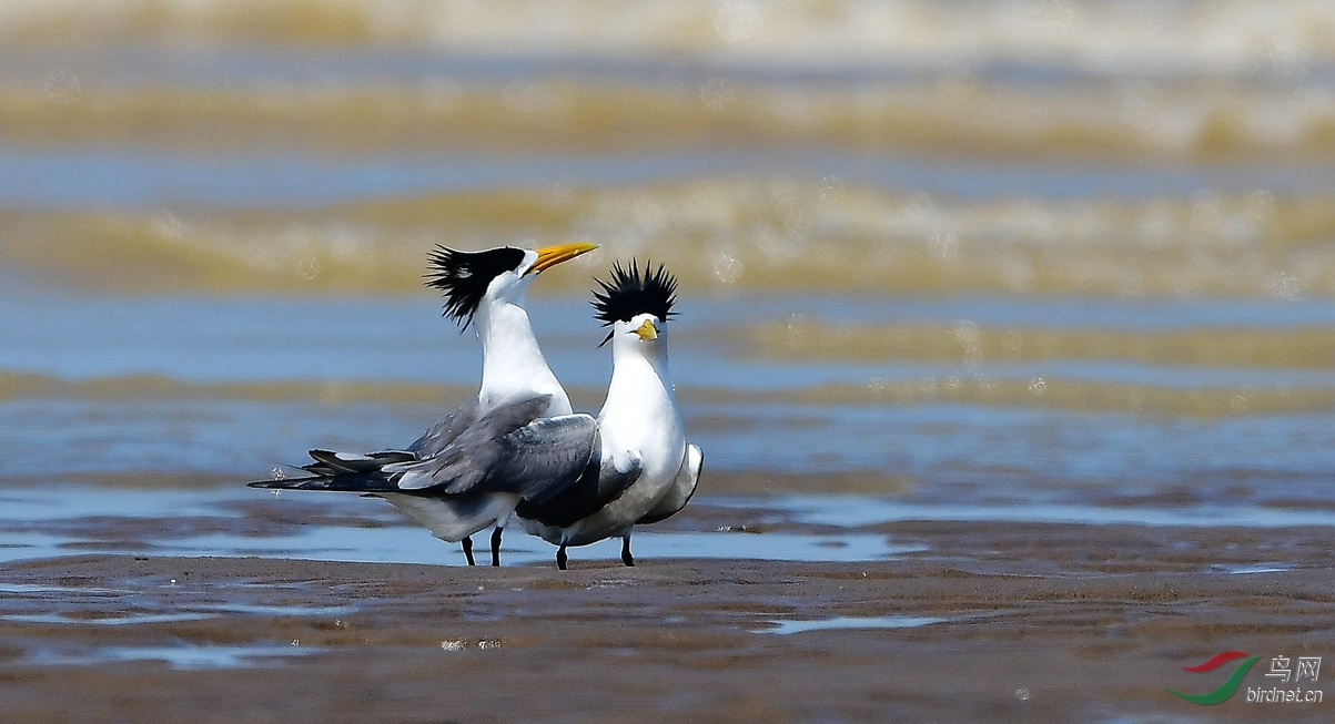 AN7I 0191_����.jpg