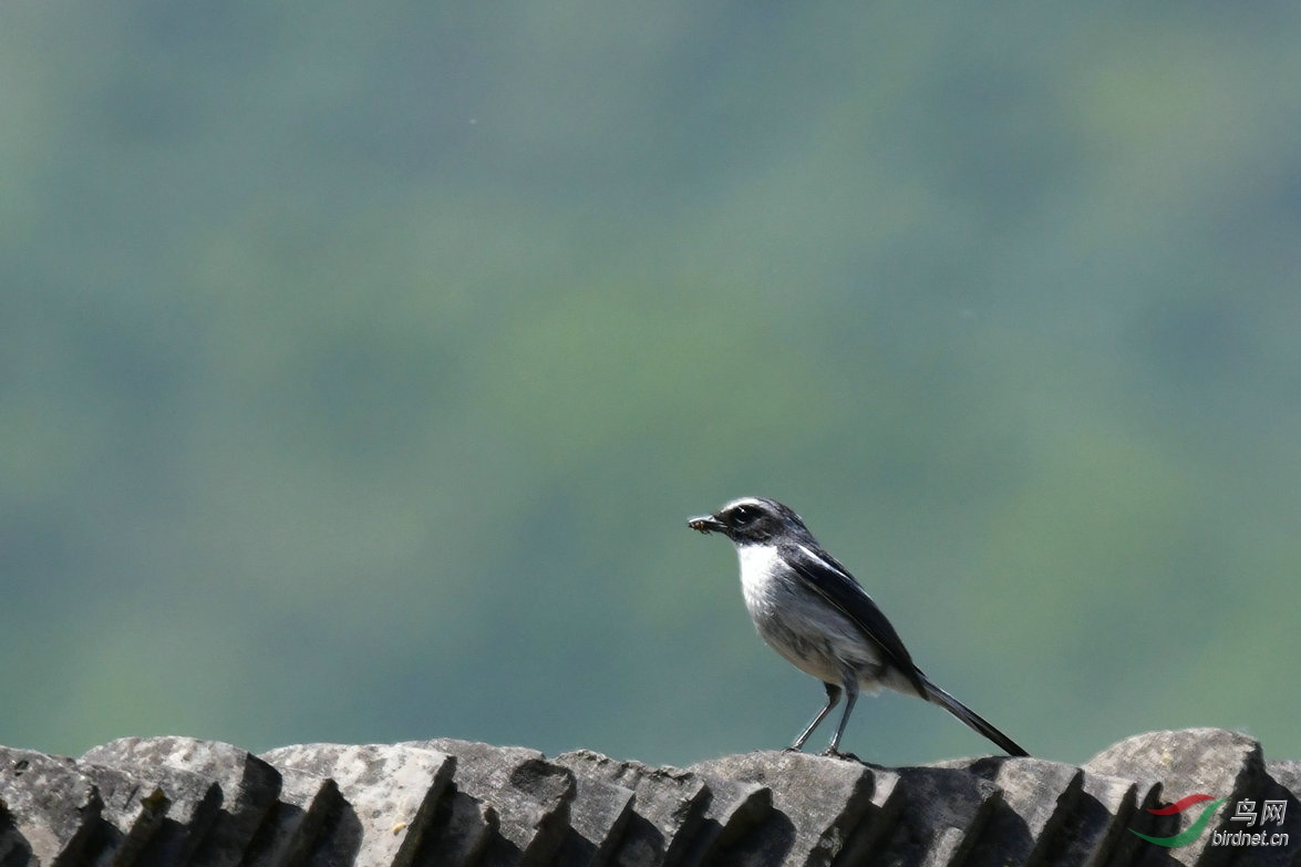 30�����S ����.JPG