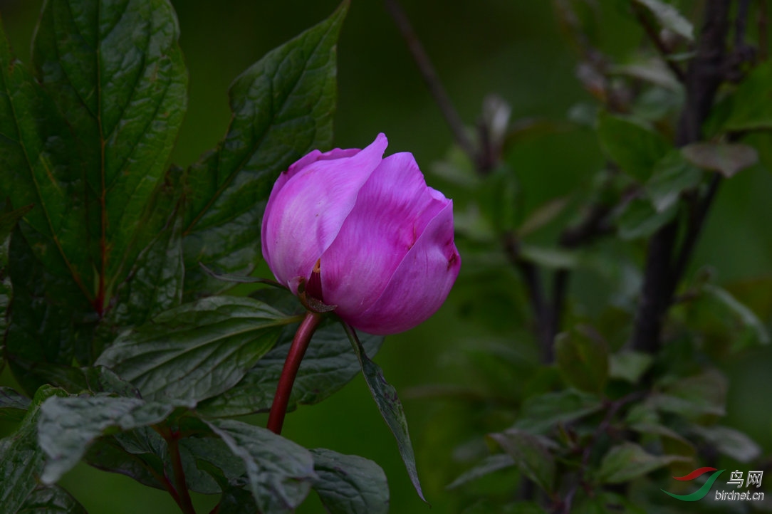 DSC_7693.JPG
