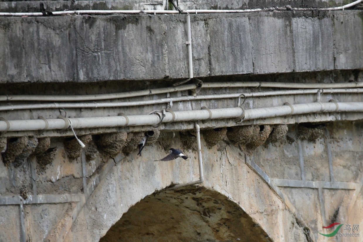 DSC_7513.JPG