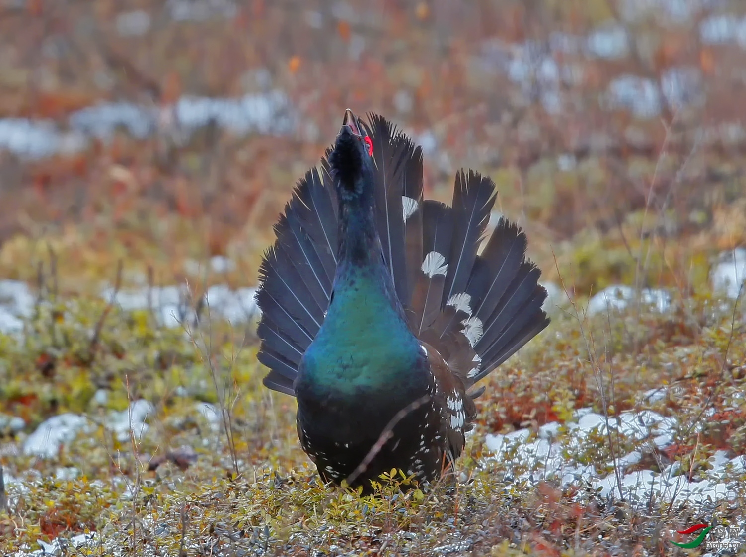 �����ɼ� (3).jpg