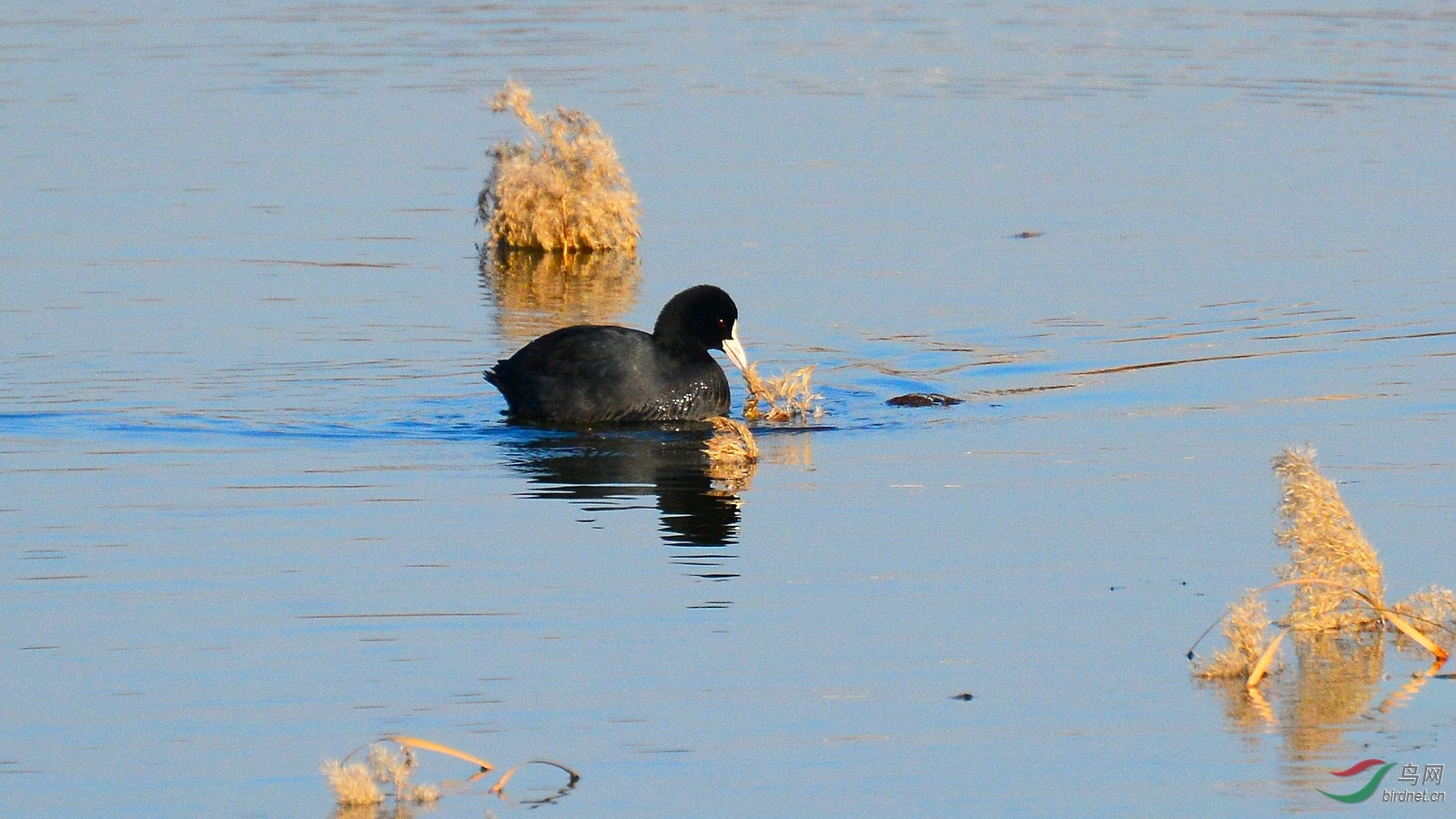 DSC_6755.JPG
