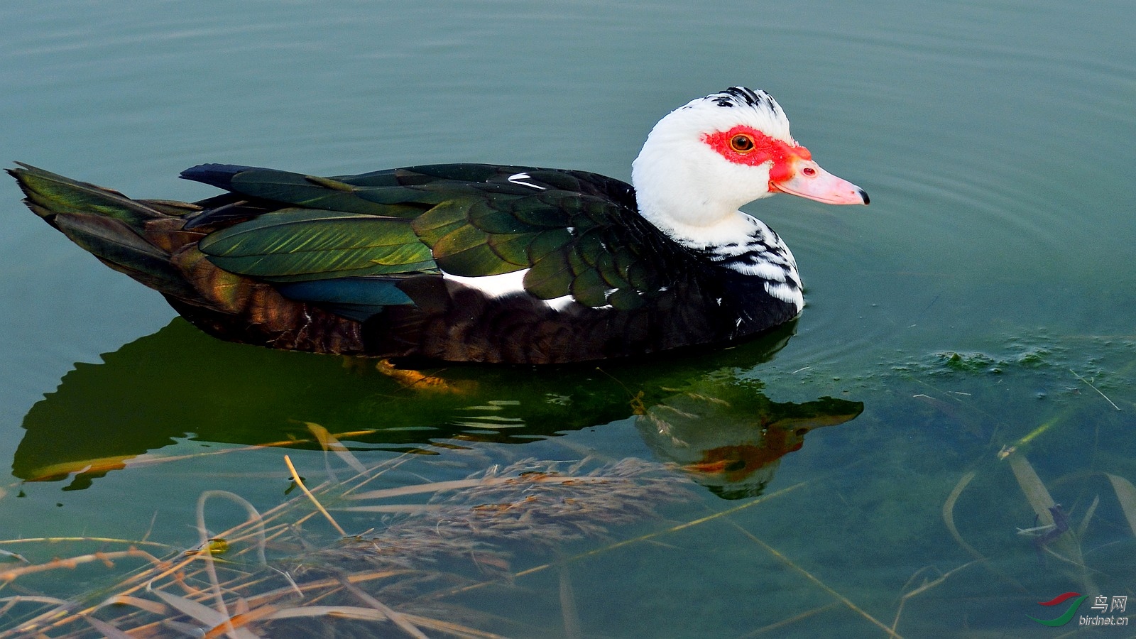 DSC_4130.JPG