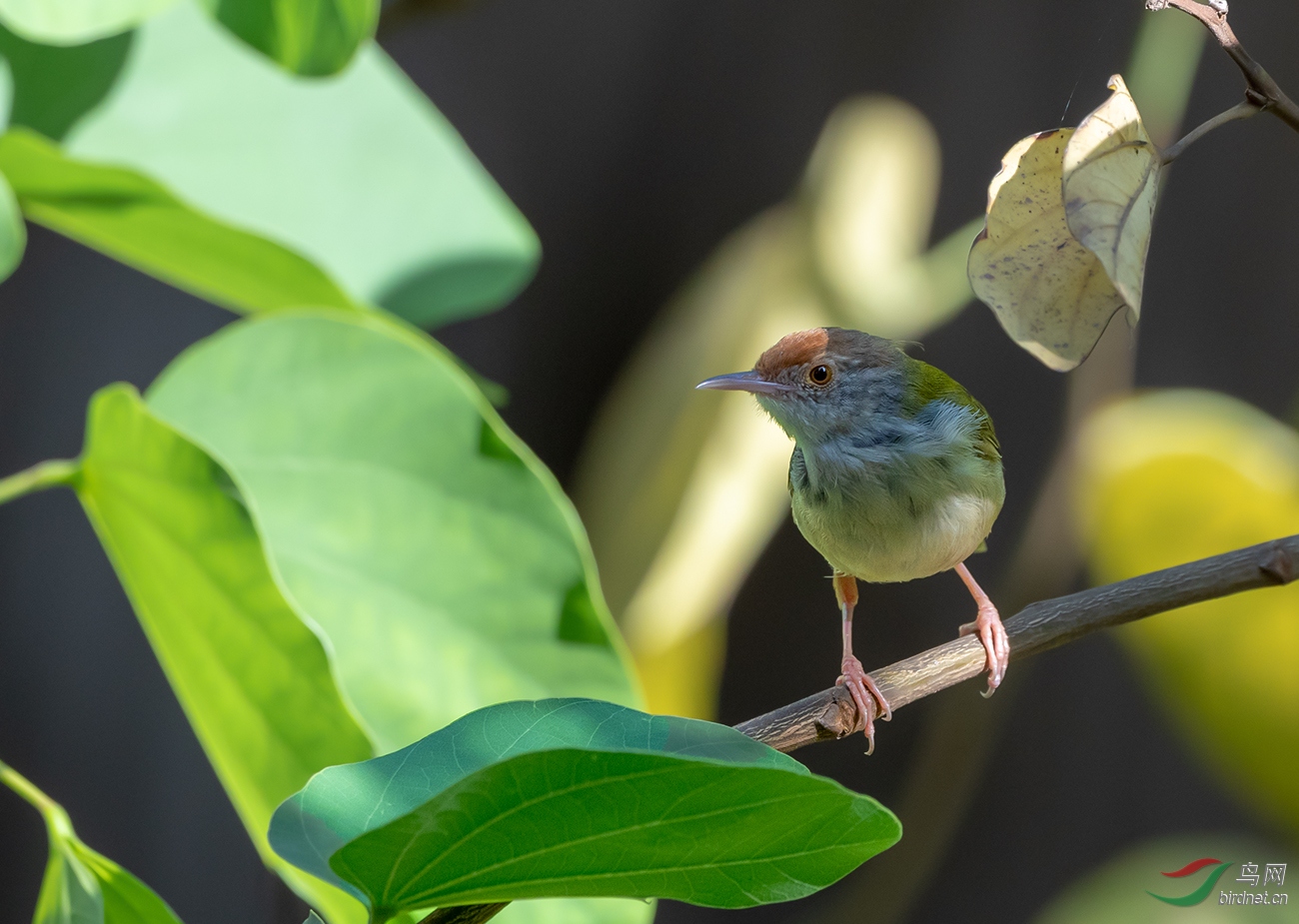 DSC_7513.jpg