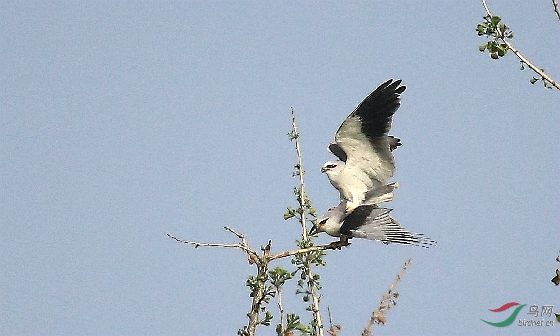 B30K4823_����.jpg