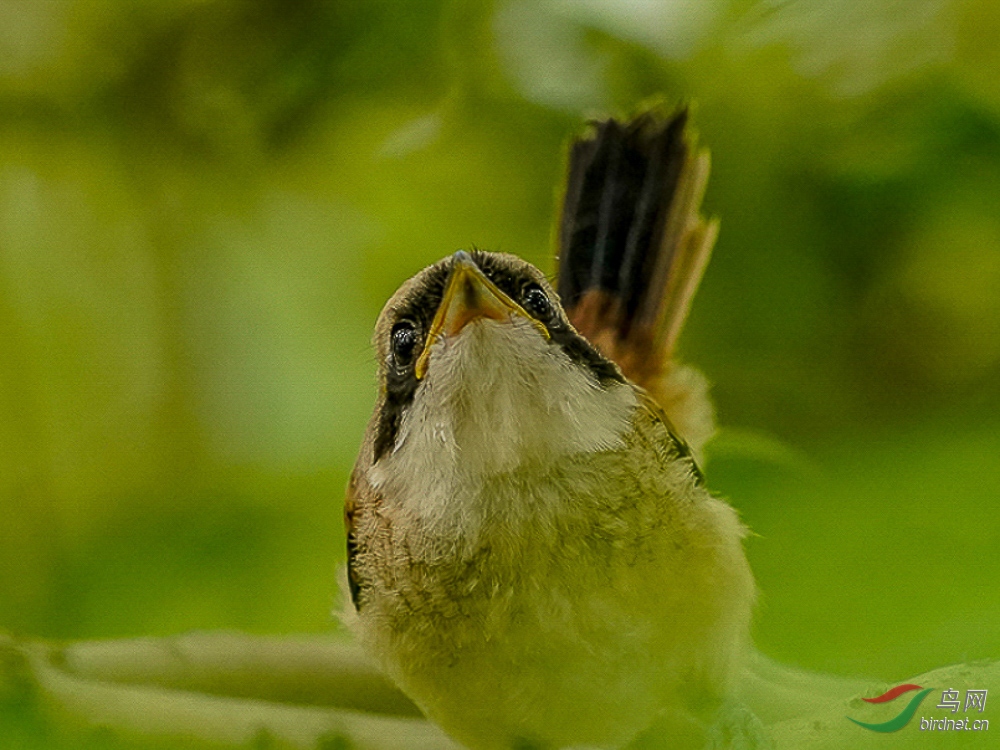 04 �������.jpg