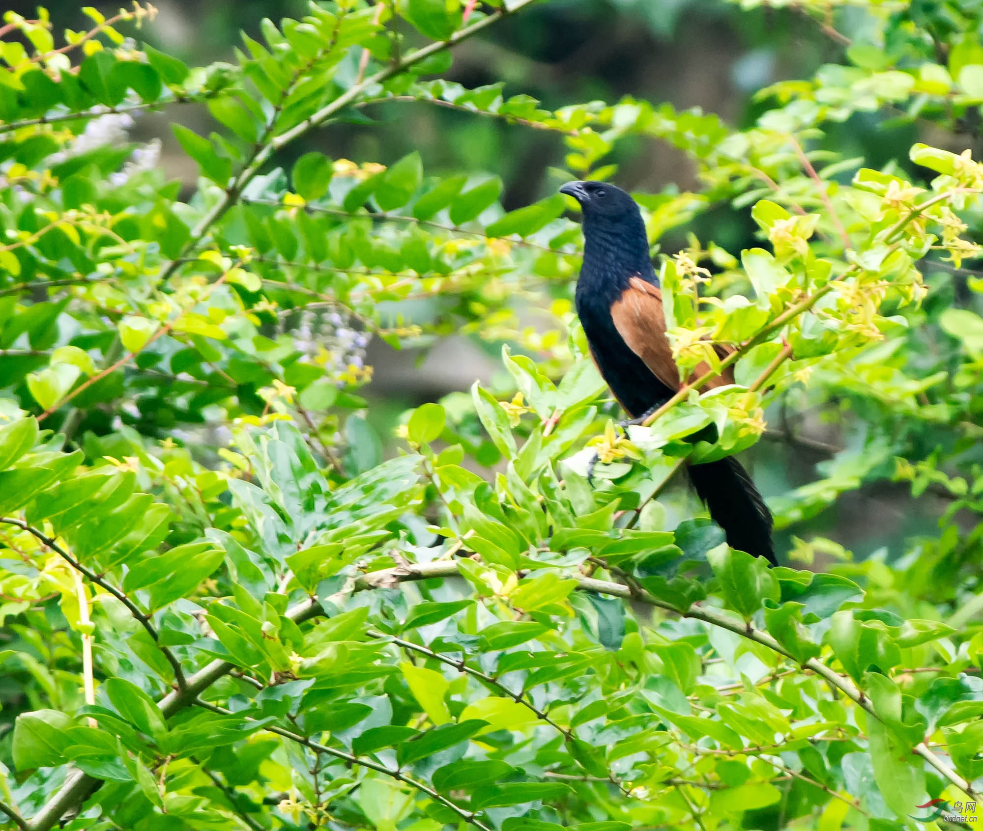 DSC_1352-2.jpg