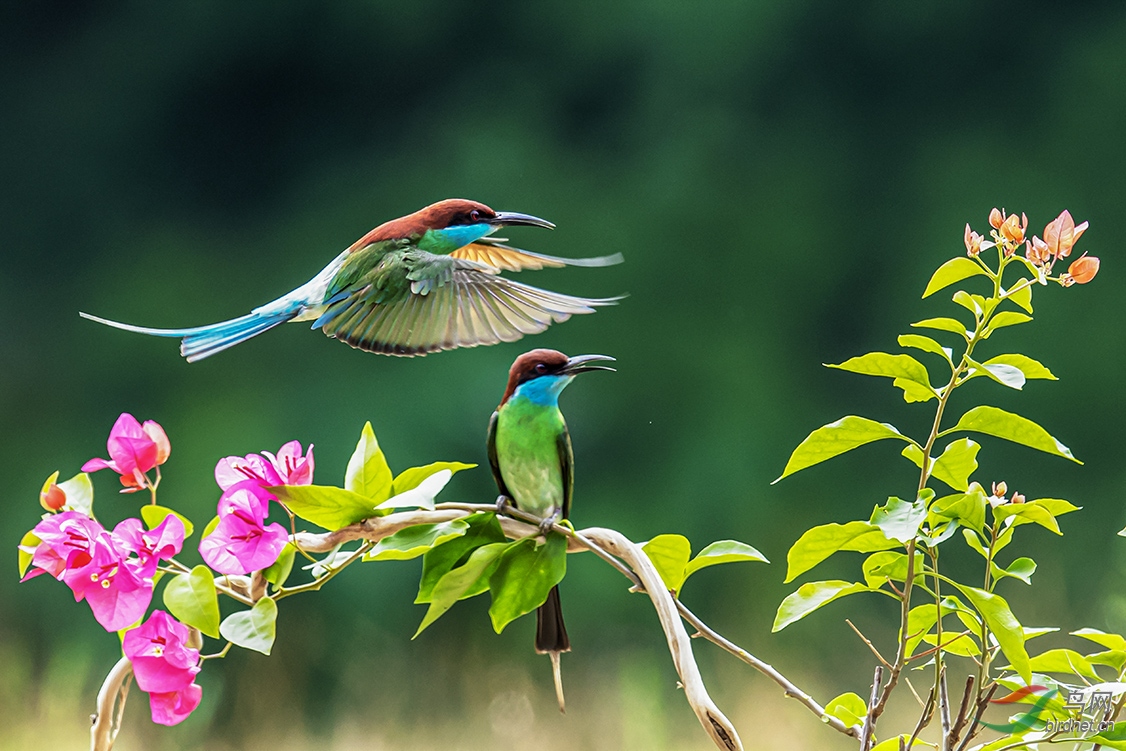 �����ں����찲������ƺ��