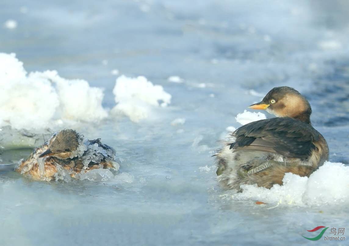 ����������С�G��