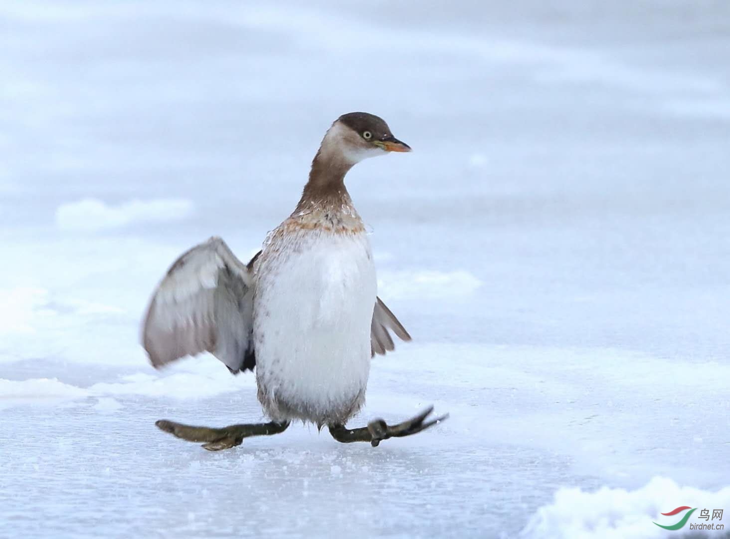 ����������С�G��