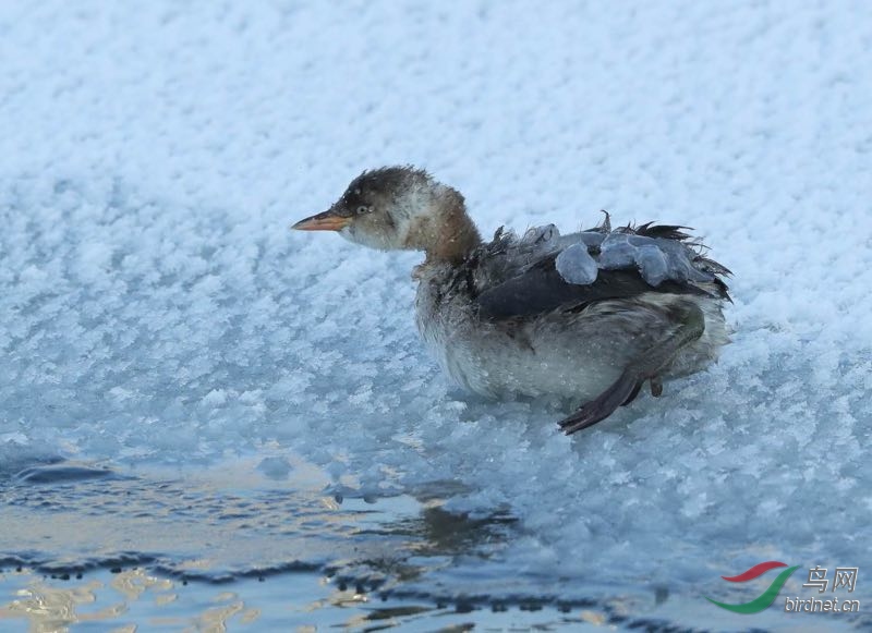 ����������С�G��