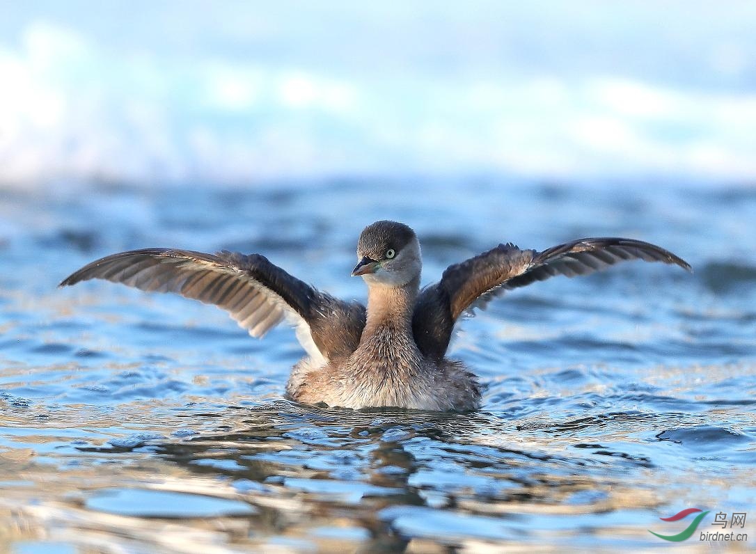 ����������С�G��