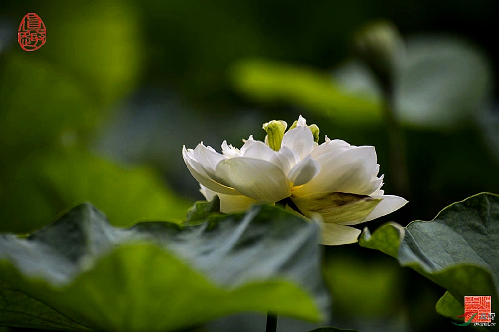 456E60D9-BE80-4B35-A314-0F0BFE760DB9.jpeg