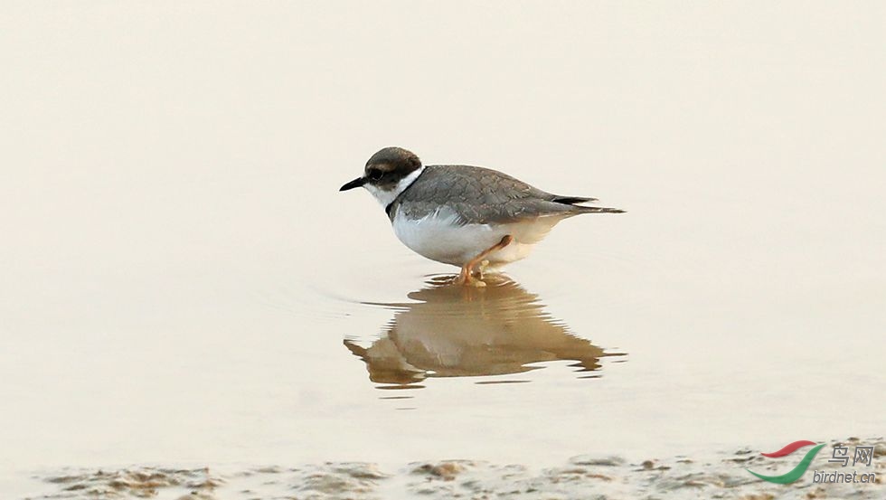 ���� ����a����Ϸˮ0.jpg