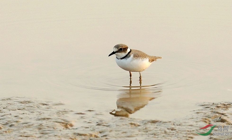 ���� ����a����Ϸˮ2.jpg