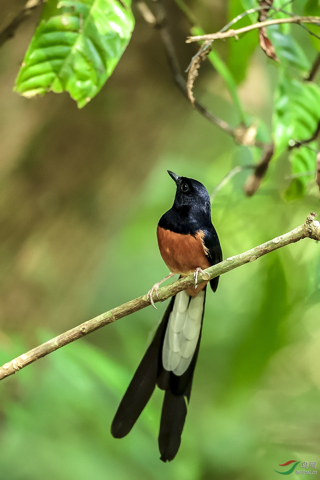 _DSC7305_2032a.jpg