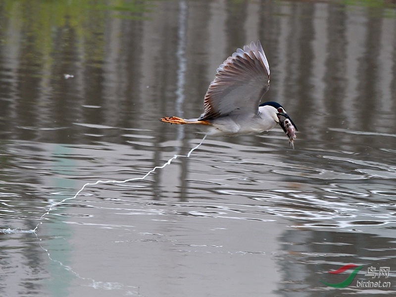 DSC_4158.JPG