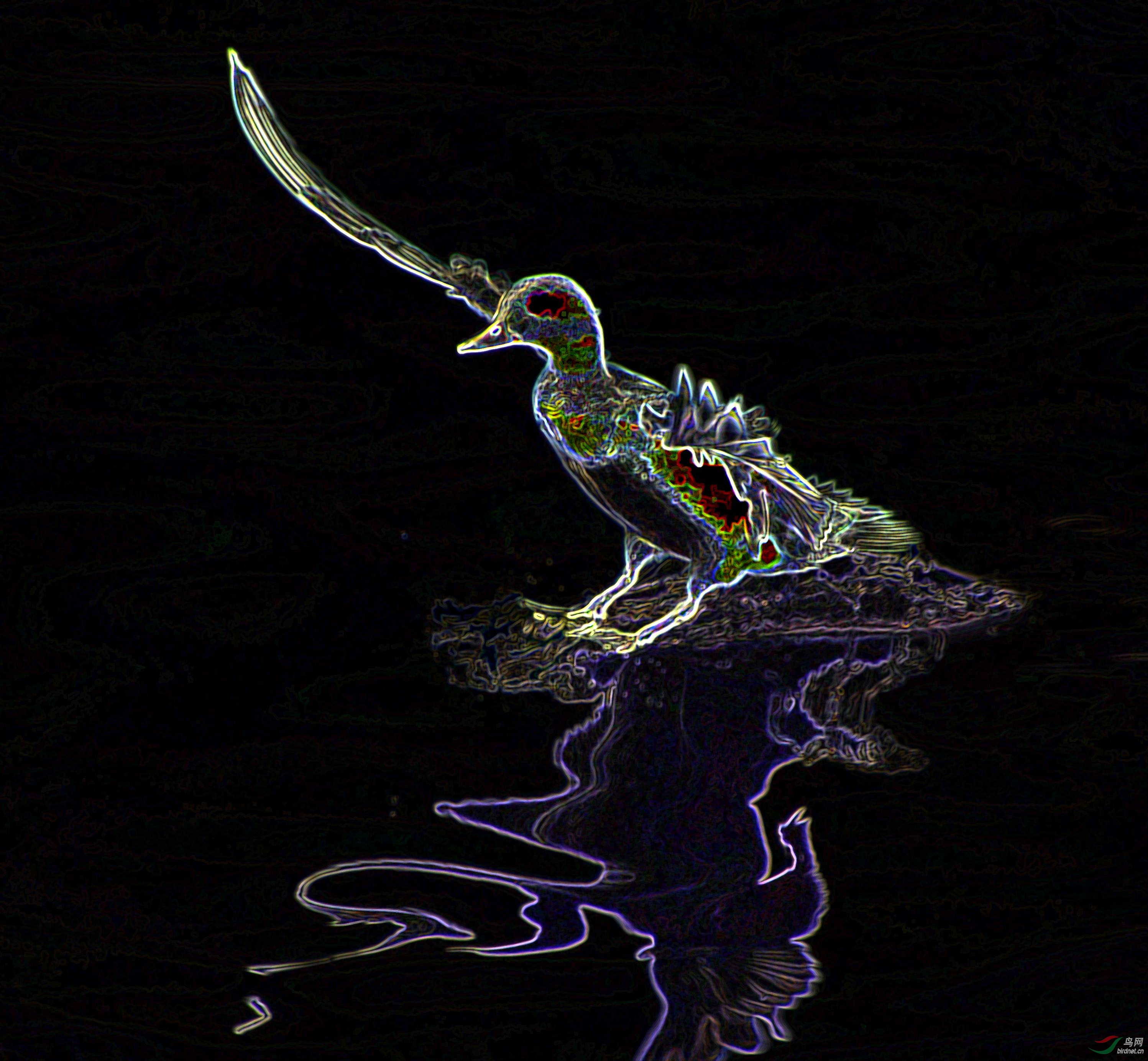 DSC_4130_conew2.jpg